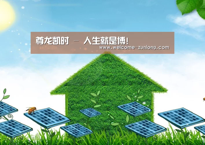 尊龙凯时公司