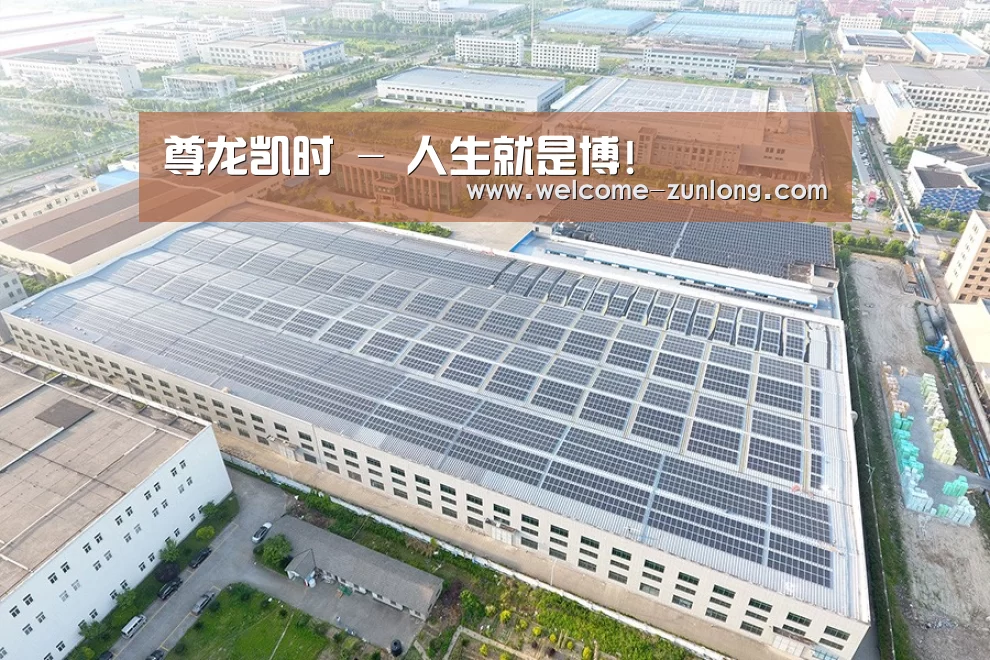 案例展示一