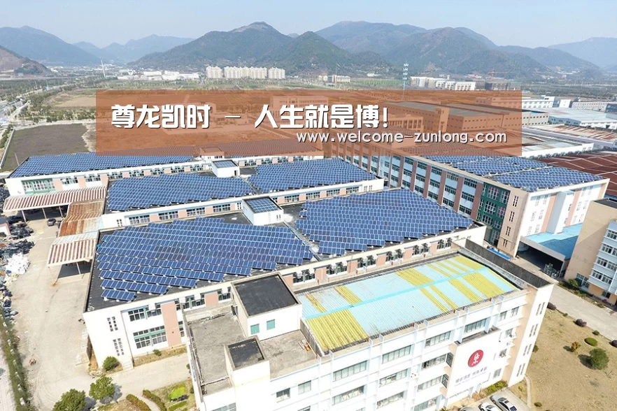 案例展示一