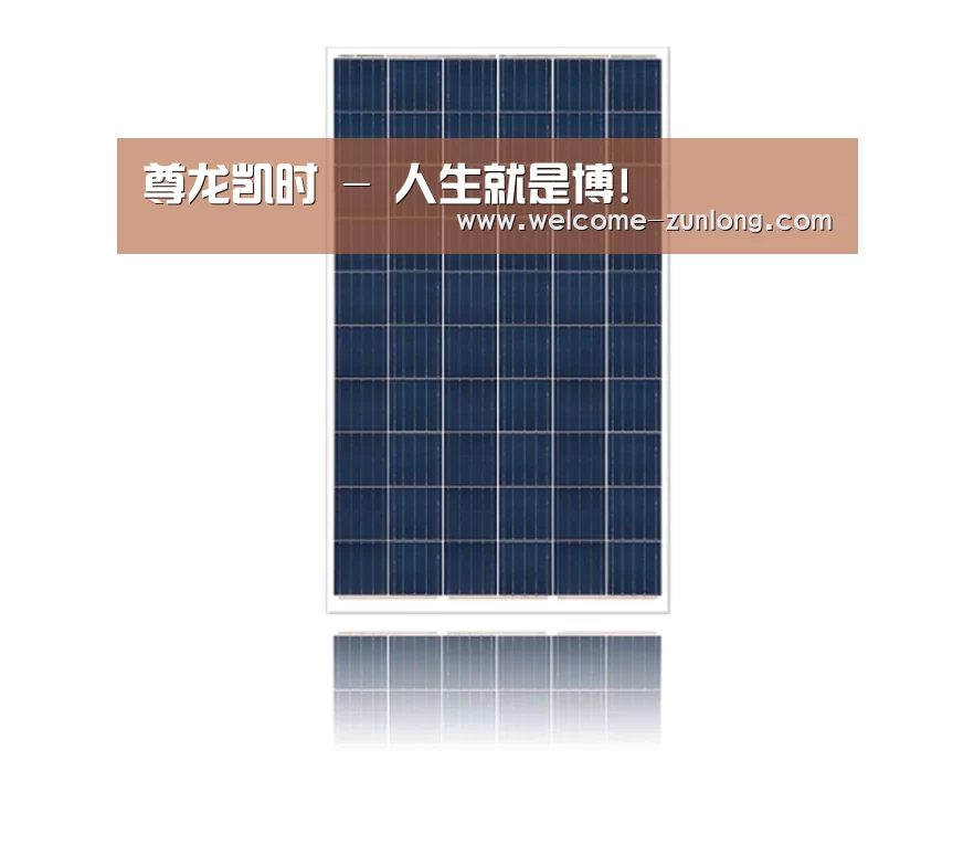 产品名称一