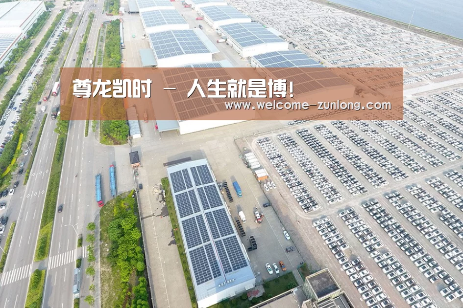 案例展示一
