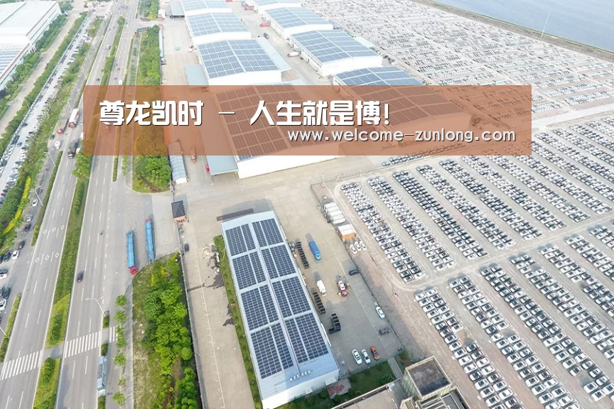 案例展示四