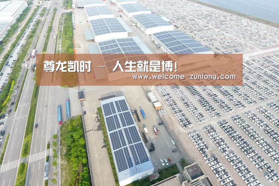 案例展示三